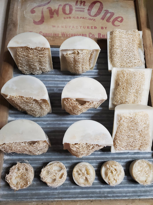 Garden Party soap with luffa standing up to show half round