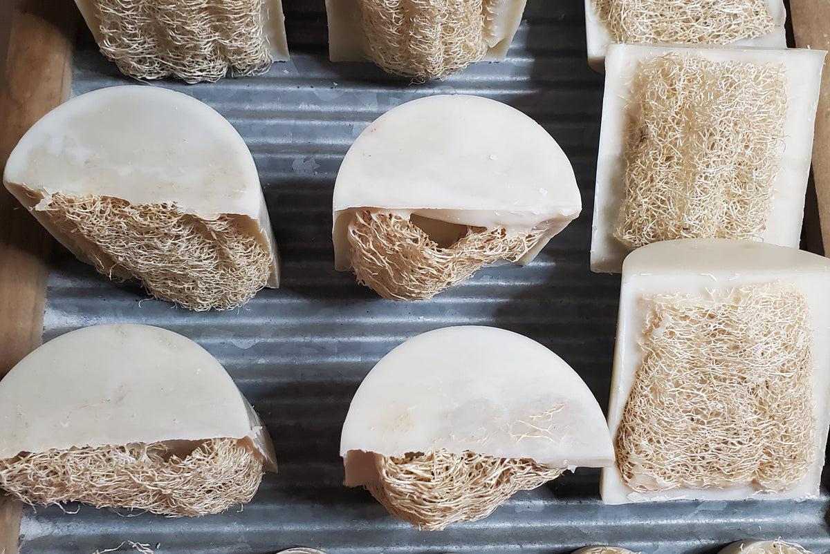 Unscented exfoliating soap with natural luffa from The Washing Board.