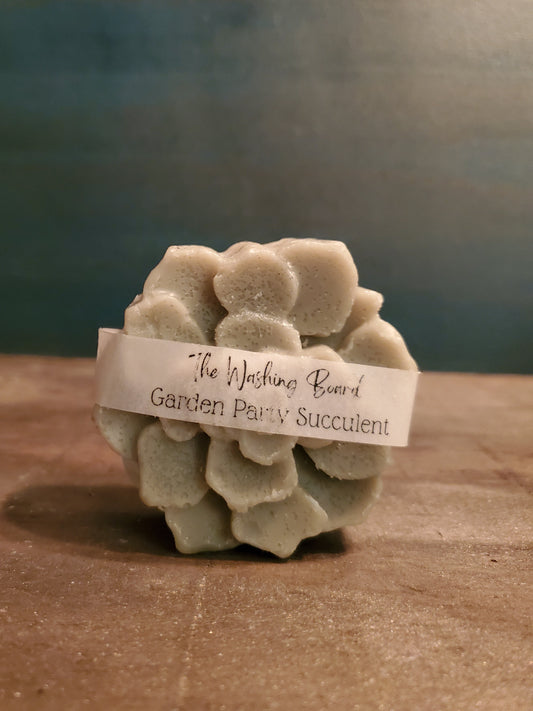 Garden Party Succulent